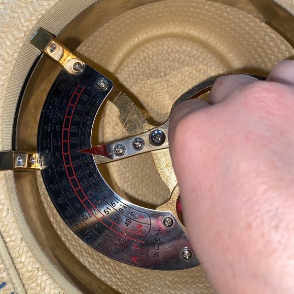 Biltmore for Madewell 100% Toyo Straw - Picture 13 of 14